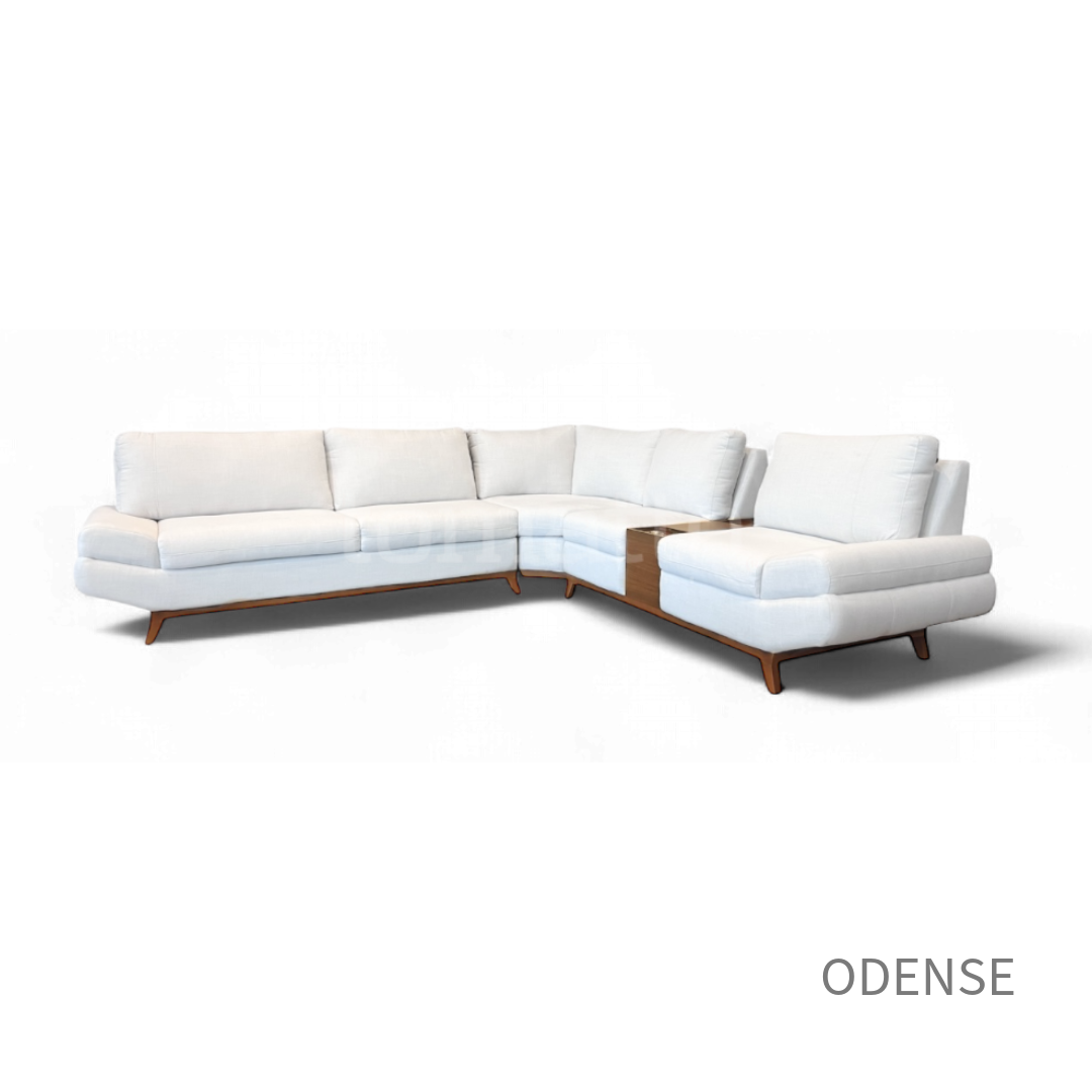 ODENSE MOD CONF 013 + CONS