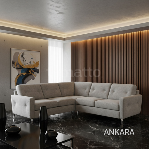 ANKARA ESQUINERO CONF007