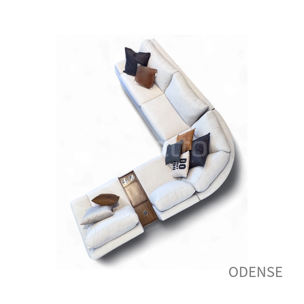ODENSE MOD CONF 013 + CONS