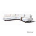ODENSE MOD CONF 013 + CONS