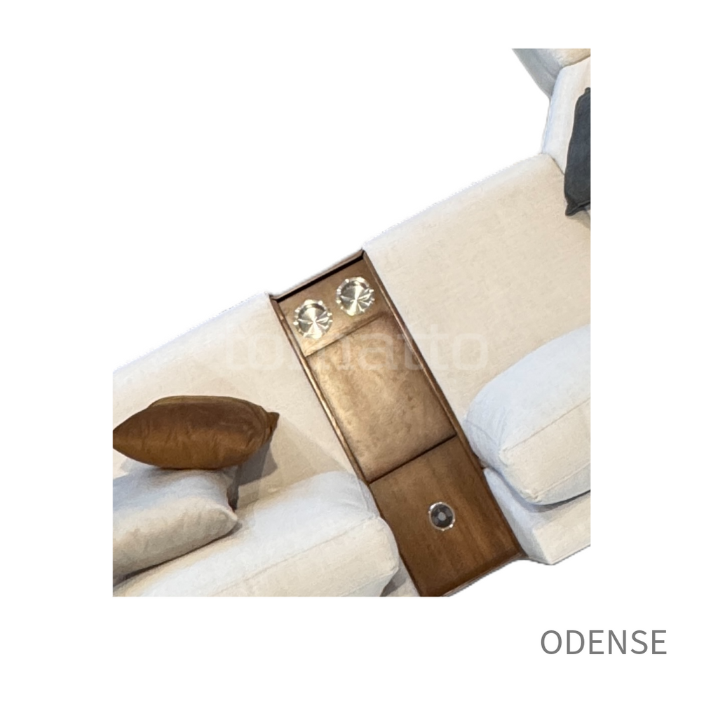 ODENSE MOD CONF 013 + CONS