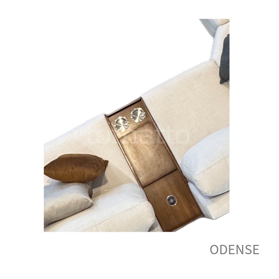 ODENSE MOD CONF 013 + CONS