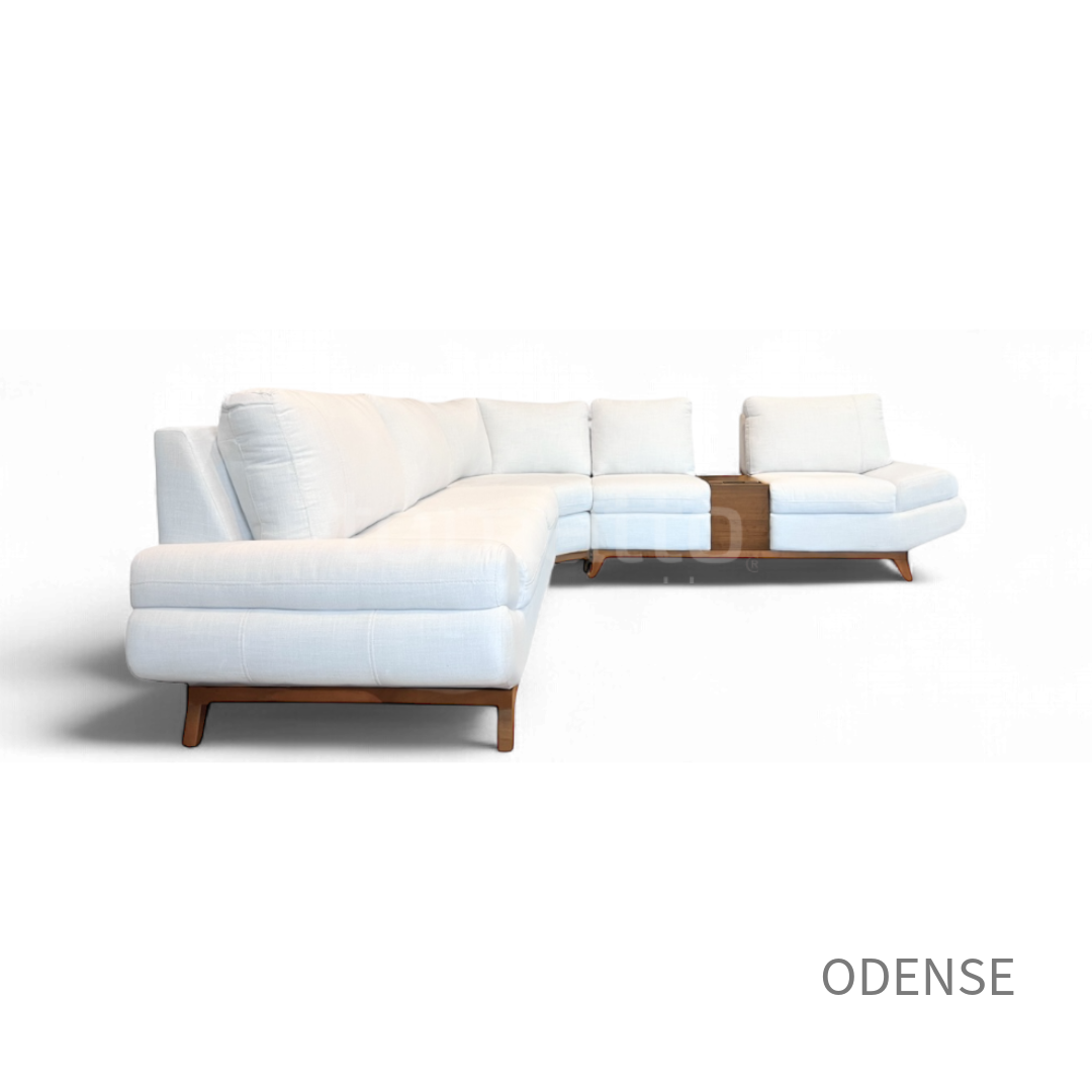 ODENSE MOD CONF 013 + CONS