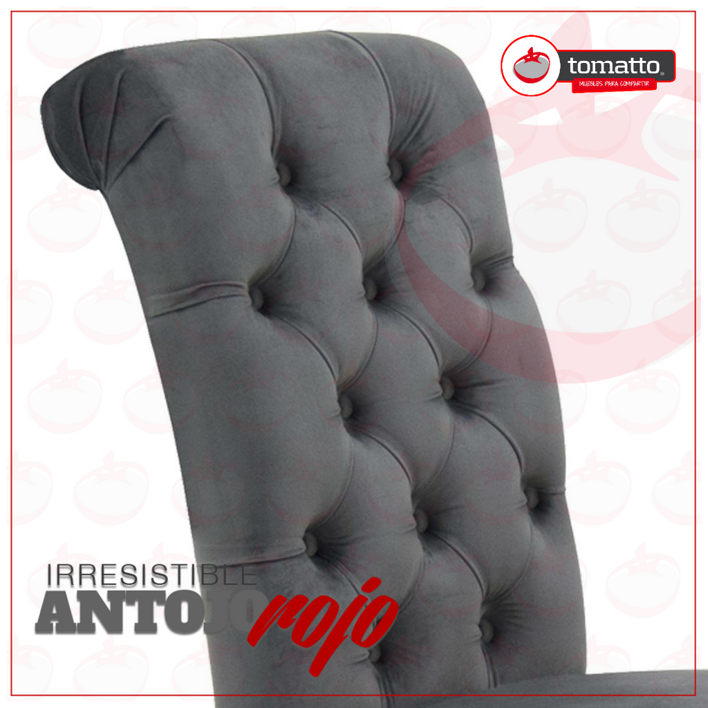 SILLA WISS
