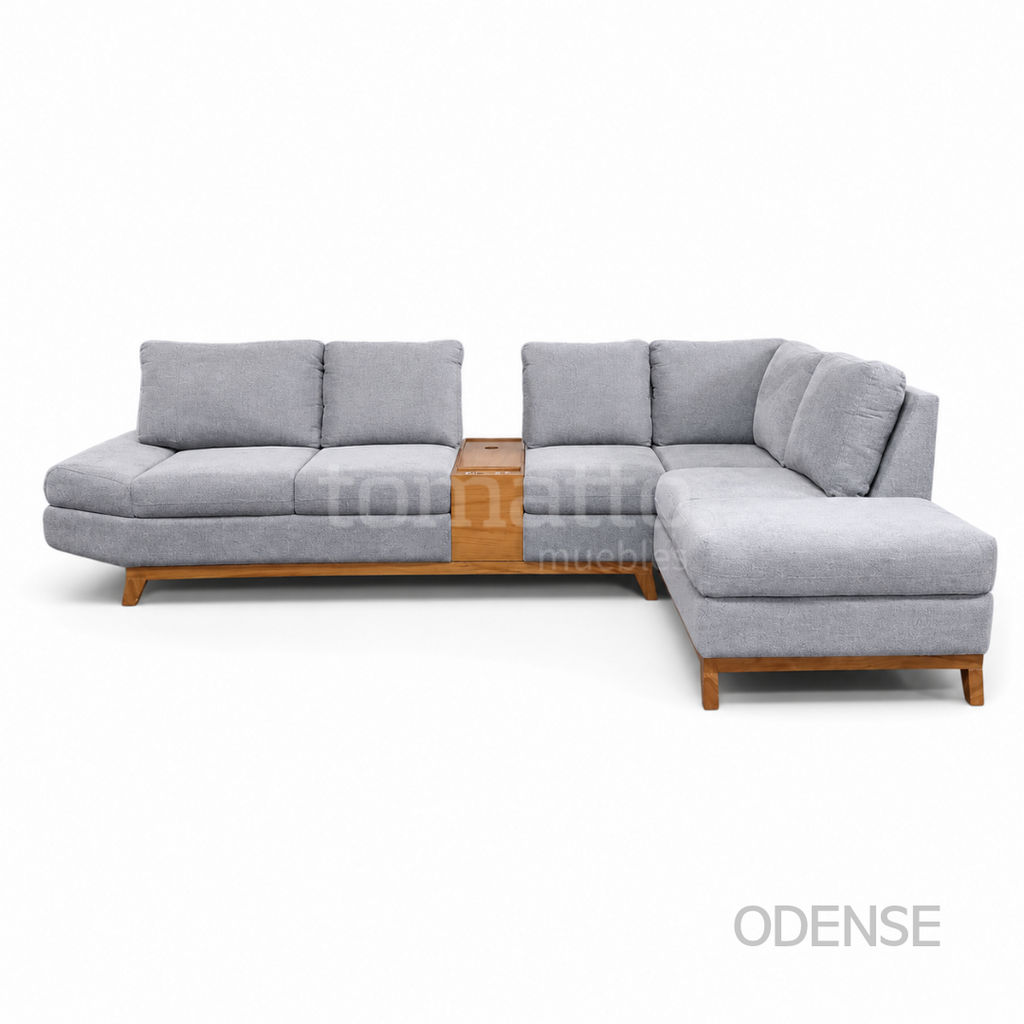ODENSE MOD CONF 003 + CONSOLA