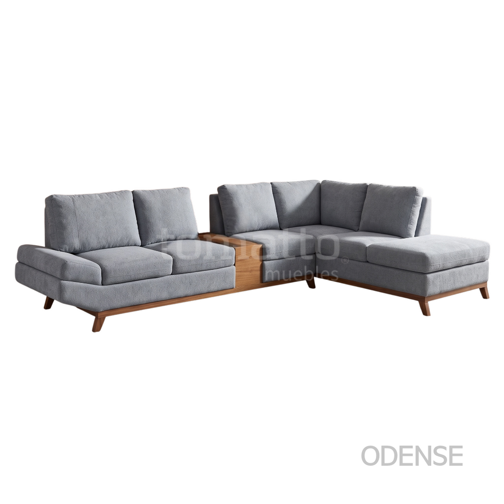 ODENSE MOD CONF 003 + CONSOLA